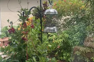 7697 Mansfield Hollow Rd, Delray Beach, FL 33446 - Photo 56