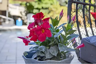 318 NE 26th Street, Wilton Manors, FL 33305 - Photo 24