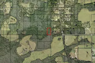 0 Alligator Rd, Clermont, FL 33868 - Photo 1