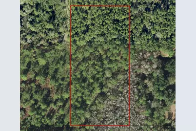 0 Alligator Road, Clermont, FL 33868 - Photo 2