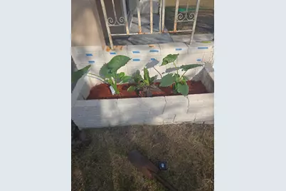 7531 Polk Street, Hollywood, FL 33024 - Photo 12