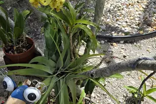 618 SW 14th Terrace, Fort Lauderdale, FL 33312 - Photo 16