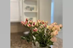 275 Murcia Dr, Jupiter, FL 33458 - Photo 8