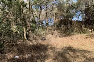 2361 178 St, Summerfield, FL 34491 - Photo 6