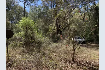 2361 178 Street, Summerfield, FL 34491 - Photo 2