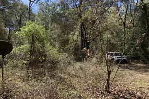 2361 178 St, Summerfield, FL 34491 - Photo 2