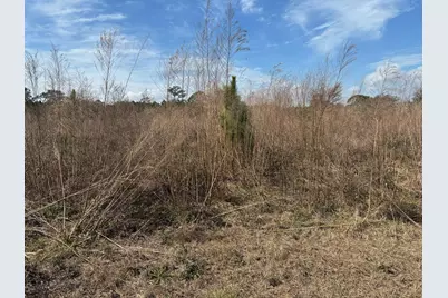 0 Old Grade Road, Polk City, FL 33868 - Photo 2