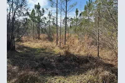 0 Old Grade Road, Polk City, FL 33868 - Photo 2
