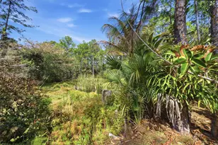 14142 Peace River Way, West Palm Beach, FL 33418 - Photo 16