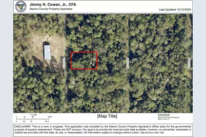 00 NE 113 Avenue, Fort Mc Coy, FL 32134 - Photo 4