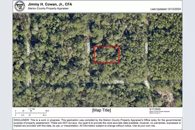 00 NE 113 Avenue, Fort Mc Coy, FL 32134 - Photo 6