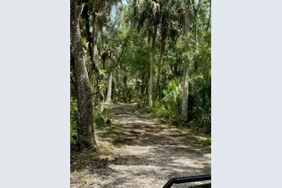 1040 Cracker Hammock, Sebring, FL 33875 - Photo 2
