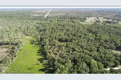 1040 Cracker Hammock, Sebring, FL 33875 - Photo 8