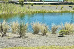 427 Sea Grv Wy, , FL 32456 - Photo 12