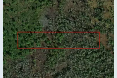 0 Old Grade Road, Polk City, FL 33868 - Photo 1