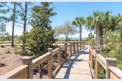 427 Sea Grove, Port Saint Joe, FL 32456 - Photo 82