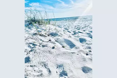 427 Sea Grove, Port Saint Joe, FL 32456 - Photo 90