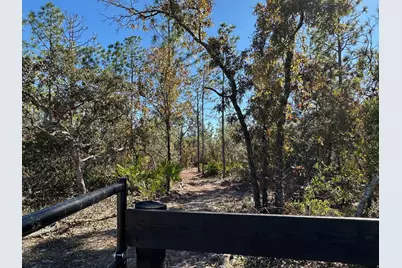 4944 W Mustang Boulevard, Beverly Hills, FL 34465 - Photo 4