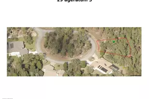 29 Ageratum Ct, Homosassa, FL 34446 - Photo 1