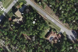 11 Crossandra Ct E, Homosassa, FL 34446 - Photo 1