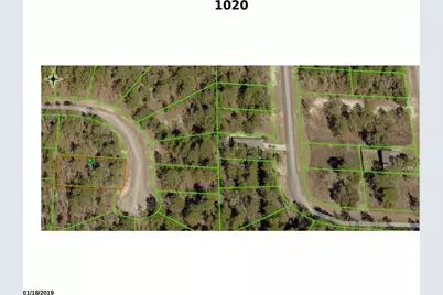 1020 W Riley Drive, Citrus Springs, FL 34434 - Photo 2