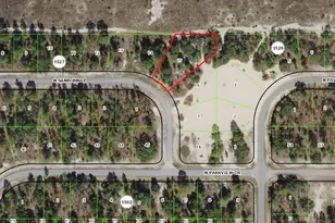 6886 N Sandborn Loop, Citrus Springs, FL 34433 - Photo 1