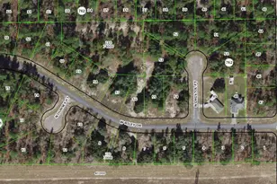 6901 Swan Point, Citrus Springs, FL 34434 - Photo 1