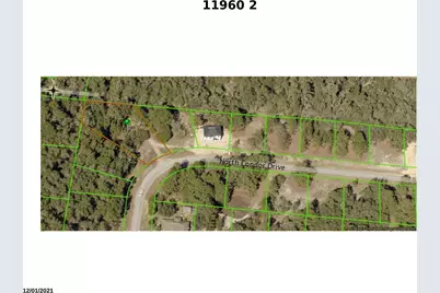 11960 N Condor Drive, Citrus Springs, FL 34433 - Photo 2