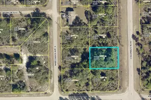 224 Columbus Blvd, Lehigh Acres, FL 33974 - Photo 2