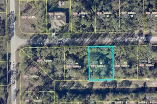 1214 Raphia St E, Lehigh Acres, FL 33974 - Photo 2