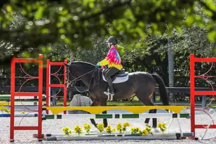 14484 Belmont Trce, Wellington, FL 33414 - Photo 86