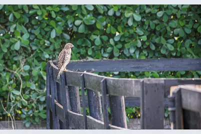 14484 Belmont Trace, Wellington, FL 33414 - Photo 88