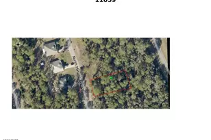 11059 N Mataro Ave, Citrus Springs, FL 34434 - Photo 1