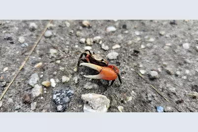 Tbd S Ocean Drive, Fort Pierce, FL 34949 - Photo 26