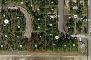 1005 W Riley Dr, Citrus Springs, FL 34434 - Photo 1