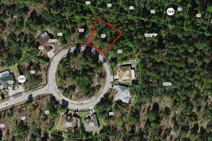 29 Smilax Ct N, Homosassa, FL 34446 - Photo 1