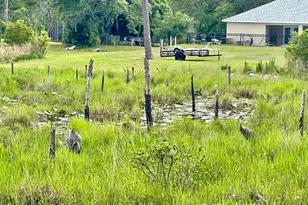 42111 Chinaberry Ct, Eustis, FL 32736 - Photo 10