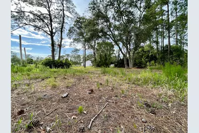42111 Chinaberry Court, Eustis, FL 32736 - Photo 58