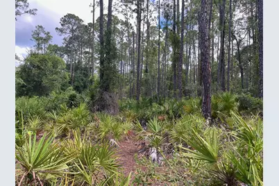 222 Marie Avenue, Georgetown, FL 32139 - Photo 2