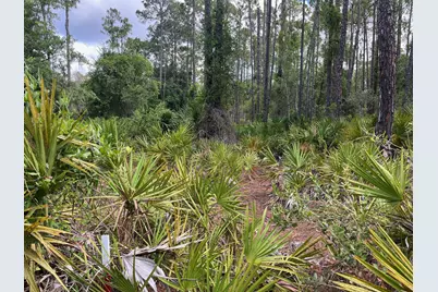 222 Marie Avenue, Georgetown, FL 32139 - Photo 4