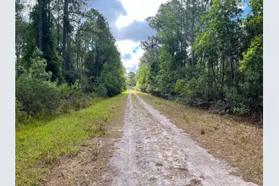222 Marie Avenue, Georgetown, FL 32139 - Photo 10