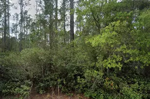 105 Glenside St, Georgetown, FL 32139 - Photo 1