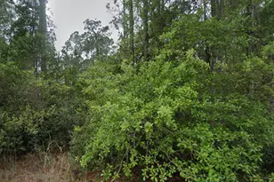 107 Glenside St, Georgetown, FL 32139 - Photo 1