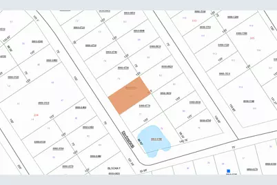 126 Roebuck Street, Georgetown, FL 32139 - Photo 2