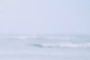 1830 W Meadows Circle, Boynton Beach, FL 33436 - Photo 40