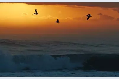 680 Horizons W #103, Boynton Beach, FL 33435 - Photo 40