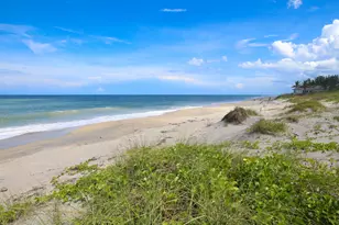 162 N Beach Rd, Jupiter Island, FL 33455 - Photo 68