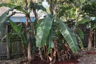 1511 20th Ave SW, Vero Beach, FL 32962 - Photo 2