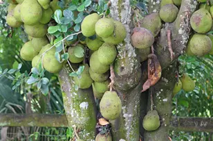 16559 Rustic Rd, Wellington, FL 33470 - Photo 80