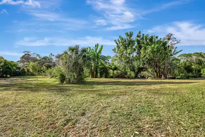 3446 Cabbage Palm Way, Loxahatchee, FL 33470 - Photo 46